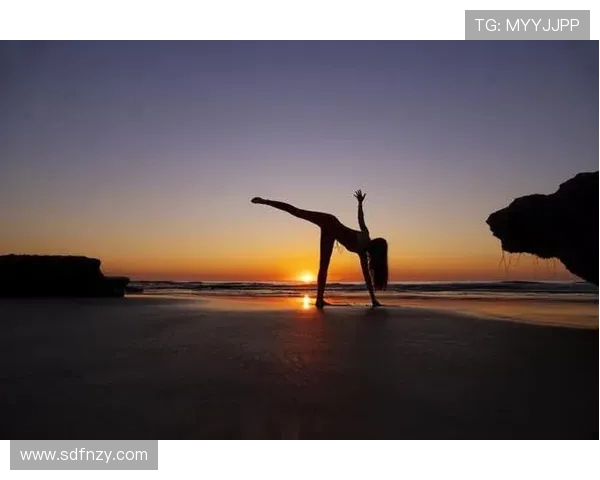 全面提升身体素质的健身计划，帮助你打造健康、强壮、充满活力的完美体型