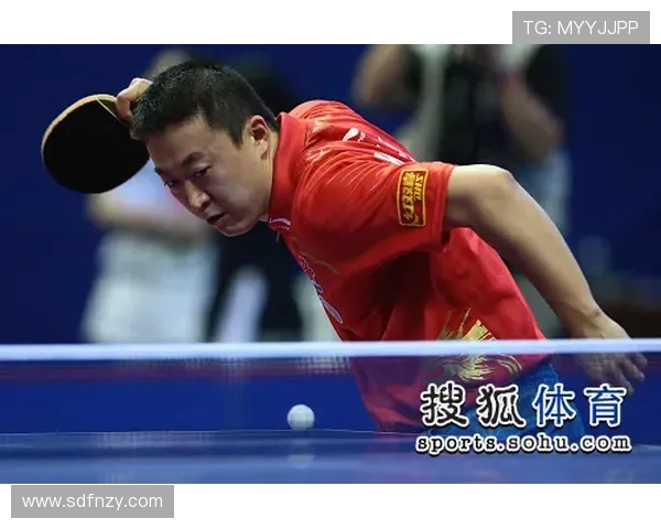专业解读：武汉乒乓球队的进攻打法