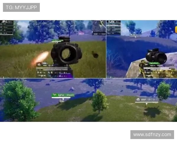 和平精英耐力排行榜更新RNG战队荣登第八名引发热议