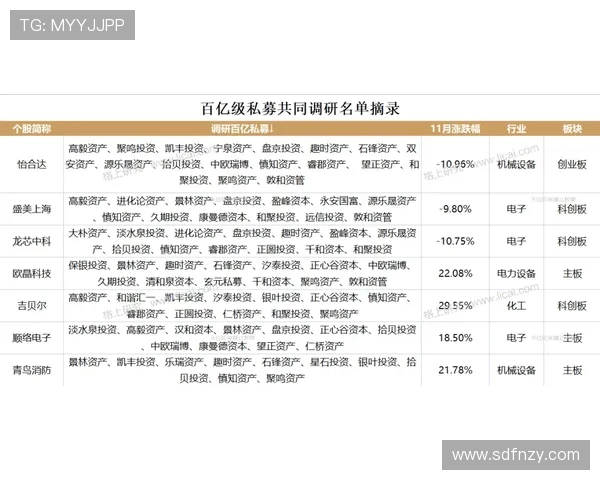 杭州极限运动队节奏表现分析与提升策略探讨