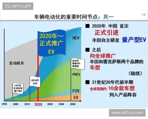 杭州足球队整体压制战术解析与成功背后的秘密探讨