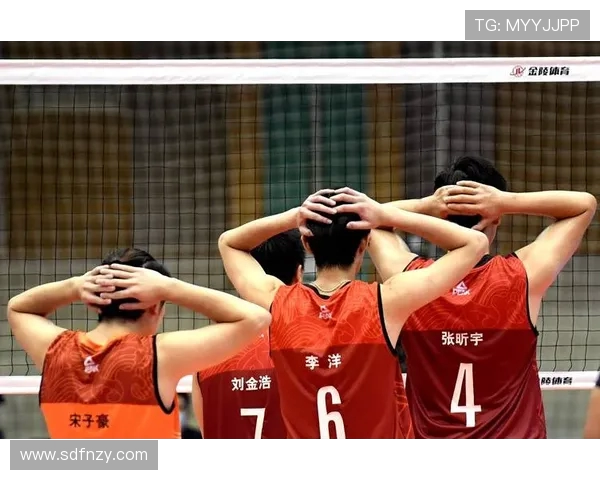 深圳排球队在排球战术排行榜中荣获第四名展现强大实力与潜力