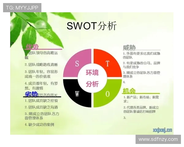 西安乒乓球队的团队协作探秘与发展之路分析