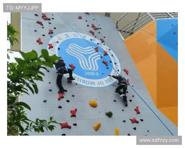 西安攀岩队战术解析与热点攀岩场地的深度剖析