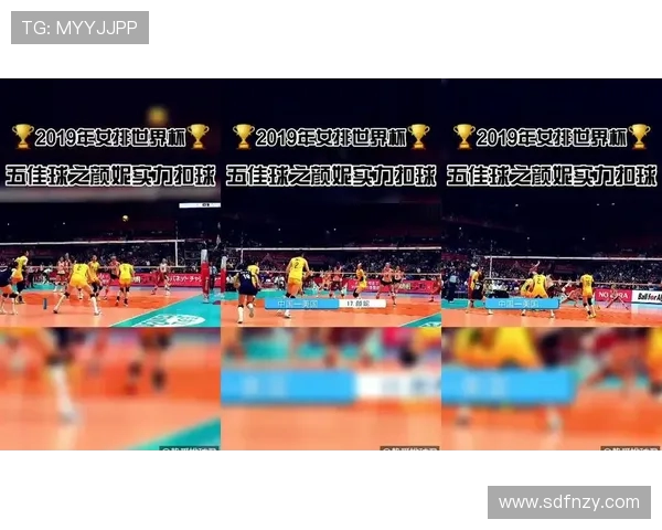 重庆排球队防守革新探索新策略提升整体竞争力与战术水平