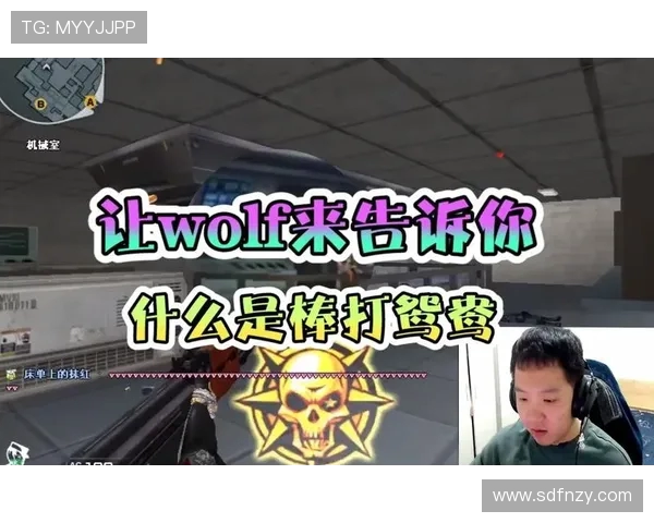 揭秘Wolf在穿越火线中的成长历程与竞技风采全面解析